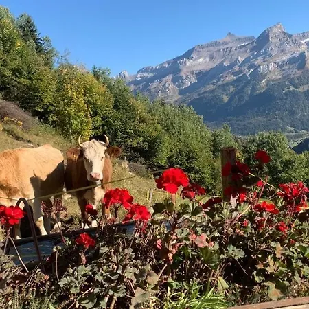 Plein Soleil - 100% Nature & Authenticite