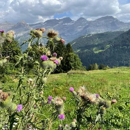 Chalet Plein Soleil - 100% Nature & Authenticite Vers L'Eglise